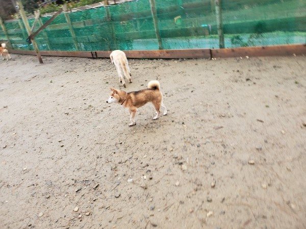 f:id:roukenhome-ann:20191223154449j:plain f:id:roukenhome-ann:20191223154449j:plain