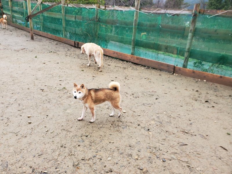 f:id:roukenhome-ann:20191223154454j:plain f:id:roukenhome-ann:20191223154454j:plain