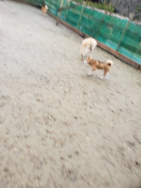 f:id:roukenhome-ann:20191223154501j:plain f:id:roukenhome-ann:20191223154501j:plain