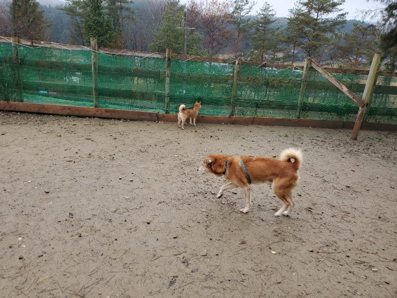 f:id:roukenhome-ann:20191223154526j:plain f:id:roukenhome-ann:20191223154526j:plain