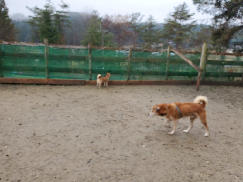 f:id:roukenhome-ann:20191223154530j:plain f:id:roukenhome-ann:20191223154530j:plain