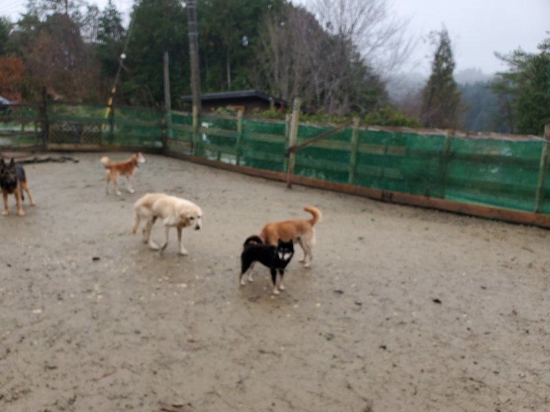 f:id:roukenhome-ann:20191223154534j:plain f:id:roukenhome-ann:20191223154534j:plain