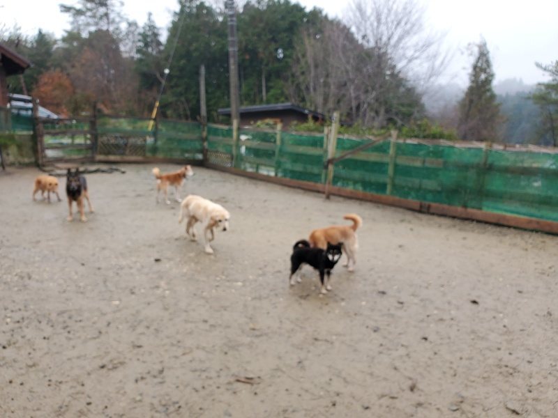 f:id:roukenhome-ann:20191223154546j:plain f:id:roukenhome-ann:20191223154546j:plain