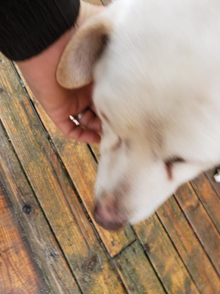 f:id:roukenhome-ann:20191223154601j:plain f:id:roukenhome-ann:20191223154601j:plain