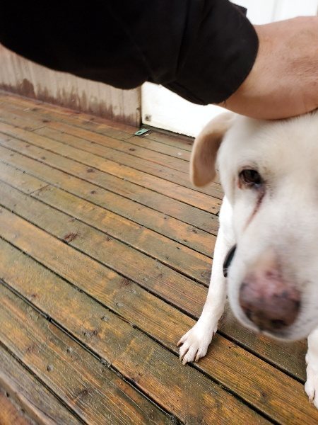 f:id:roukenhome-ann:20191223154607j:plain f:id:roukenhome-ann:20191223154607j:plain