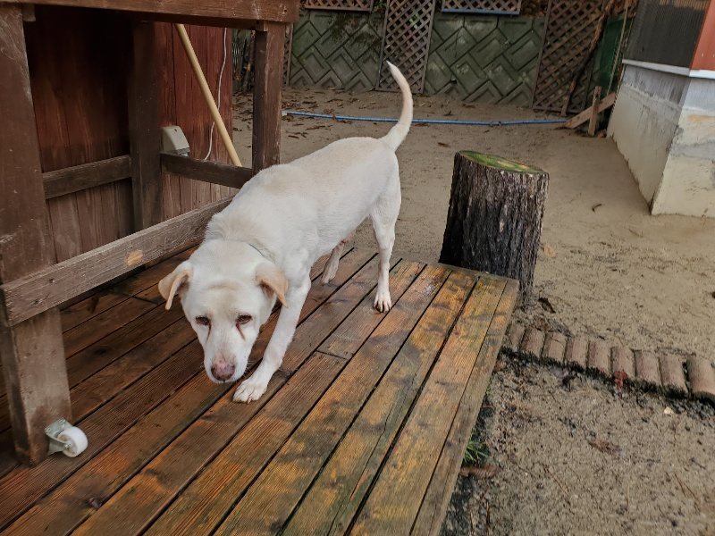 f:id:roukenhome-ann:20191223154646j:plain f:id:roukenhome-ann:20191223154646j:plain