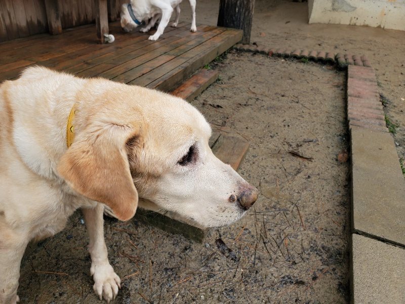 f:id:roukenhome-ann:20191223154702j:plain f:id:roukenhome-ann:20191223154702j:plain