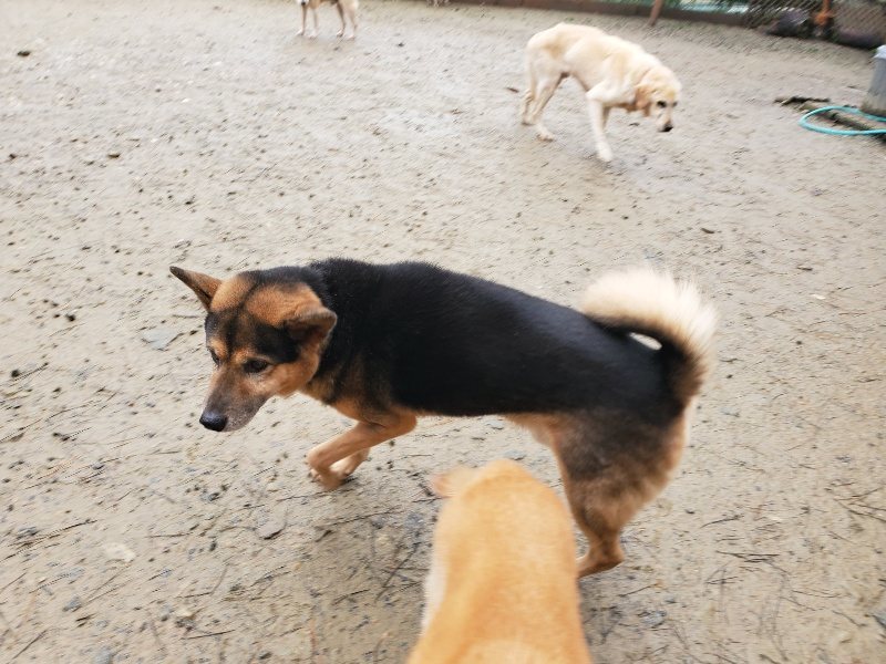 f:id:roukenhome-ann:20191223173755j:plain f:id:roukenhome-ann:20191223173755j:plain