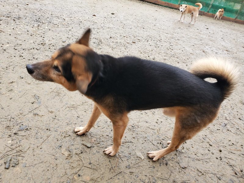 f:id:roukenhome-ann:20191223173803j:plain f:id:roukenhome-ann:20191223173803j:plain
