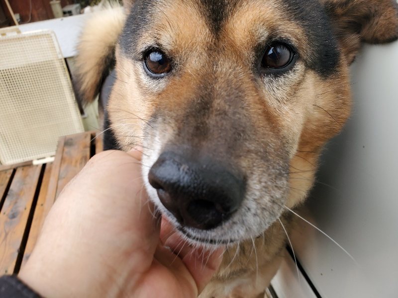 f:id:roukenhome-ann:20191223173819j:plain f:id:roukenhome-ann:20191223173819j:plain
