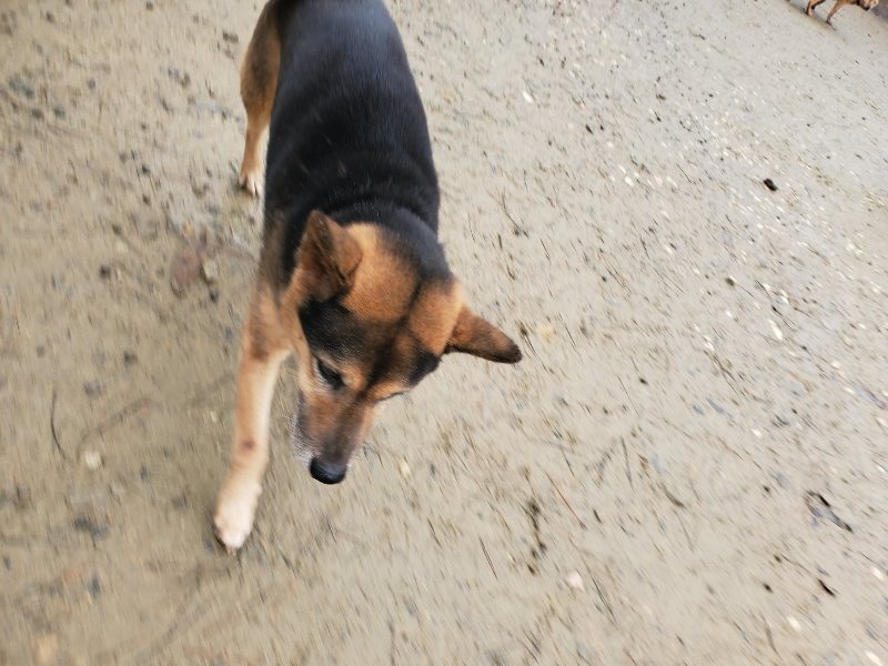 f:id:roukenhome-ann:20191223173826j:plain f:id:roukenhome-ann:20191223173826j:plain