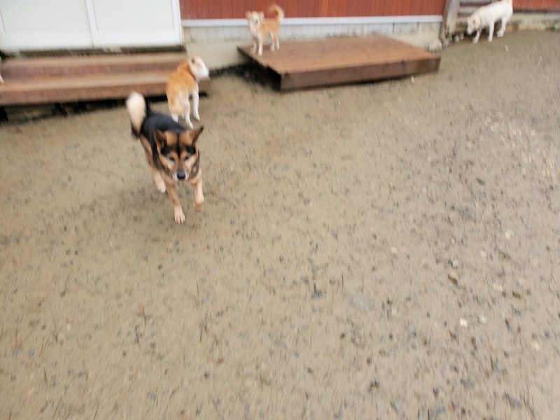 f:id:roukenhome-ann:20191223173833j:plain f:id:roukenhome-ann:20191223173833j:plain