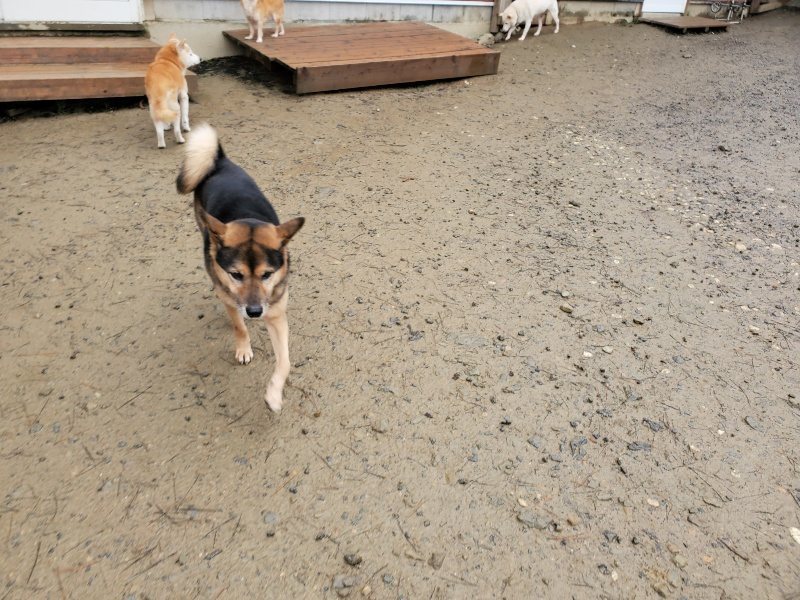 f:id:roukenhome-ann:20191223173844j:plain f:id:roukenhome-ann:20191223173844j:plain