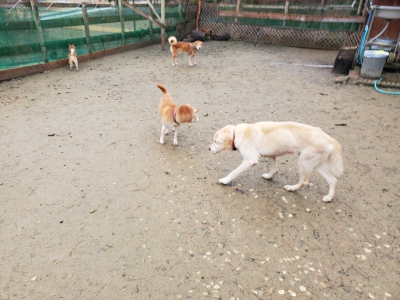 f:id:roukenhome-ann:20191223173853j:plain f:id:roukenhome-ann:20191223173853j:plain