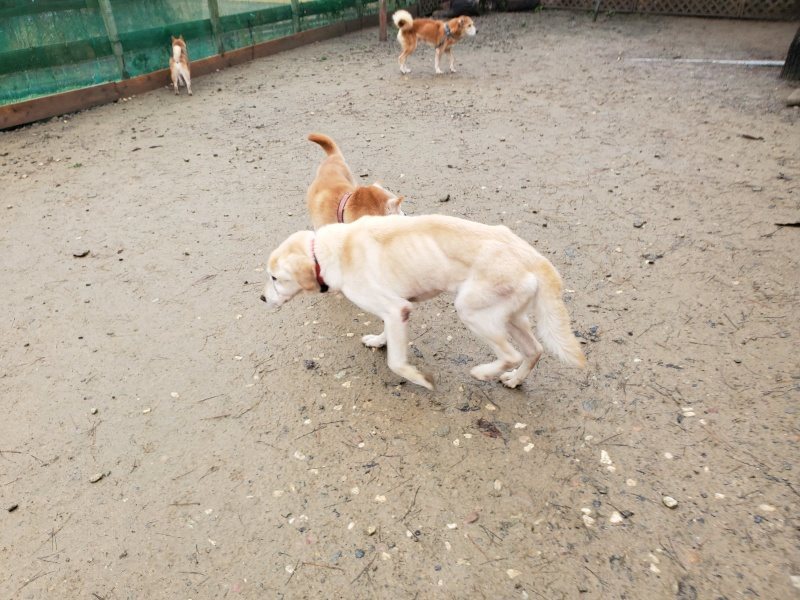 f:id:roukenhome-ann:20191223173859j:plain f:id:roukenhome-ann:20191223173859j:plain