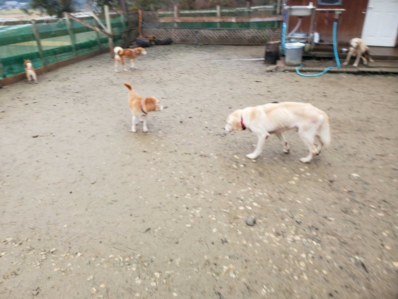 f:id:roukenhome-ann:20191223173909j:plain f:id:roukenhome-ann:20191223173909j:plain