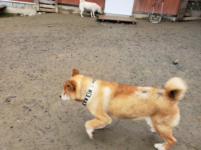 f:id:roukenhome-ann:20191223173922j:plain f:id:roukenhome-ann:20191223173922j:plain