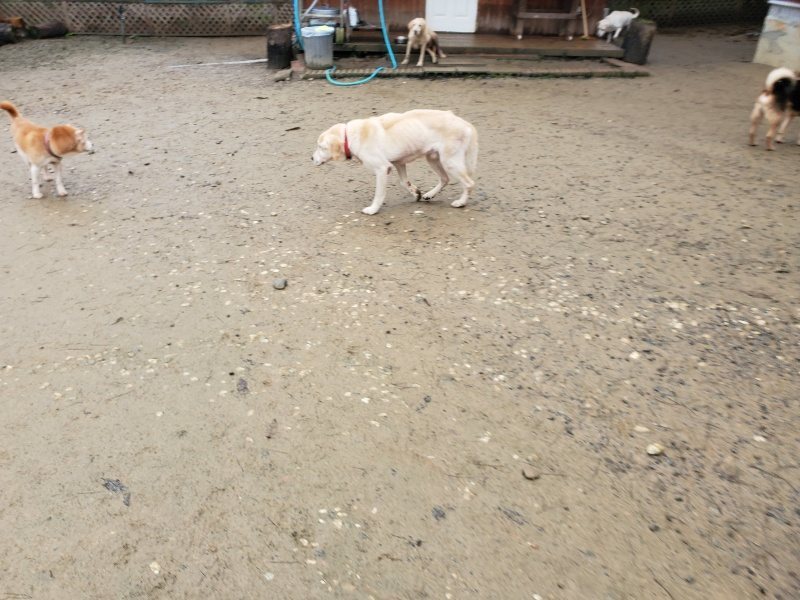 f:id:roukenhome-ann:20191223173928j:plain f:id:roukenhome-ann:20191223173928j:plain