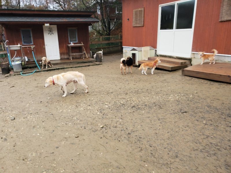 f:id:roukenhome-ann:20191223173937j:plain f:id:roukenhome-ann:20191223173937j:plain