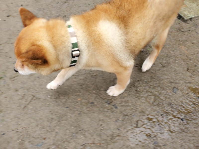 f:id:roukenhome-ann:20191223173947j:plain f:id:roukenhome-ann:20191223173947j:plain
