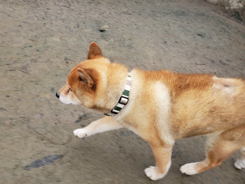 f:id:roukenhome-ann:20191223174001j:plain f:id:roukenhome-ann:20191223174001j:plain