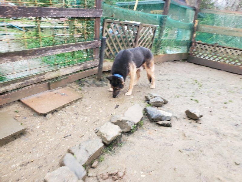 f:id:roukenhome-ann:20191223174018j:plain f:id:roukenhome-ann:20191223174018j:plain