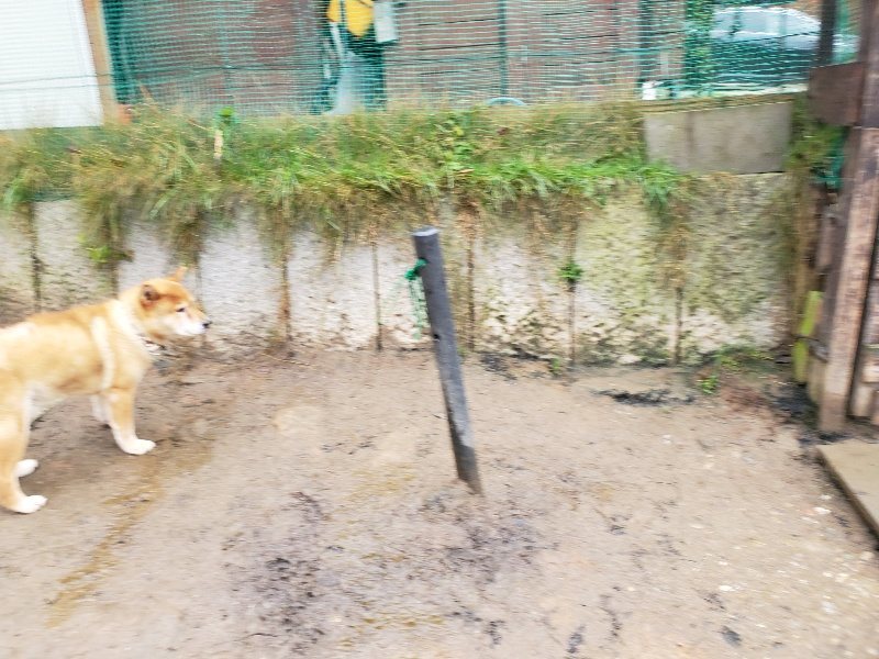 f:id:roukenhome-ann:20191223174027j:plain f:id:roukenhome-ann:20191223174027j:plain