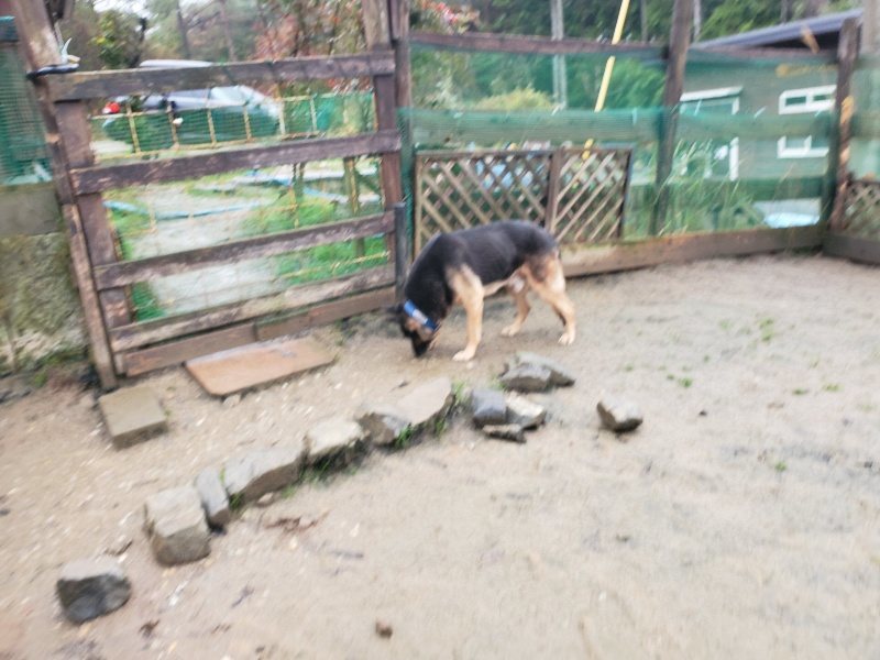 f:id:roukenhome-ann:20191223174034j:plain f:id:roukenhome-ann:20191223174034j:plain