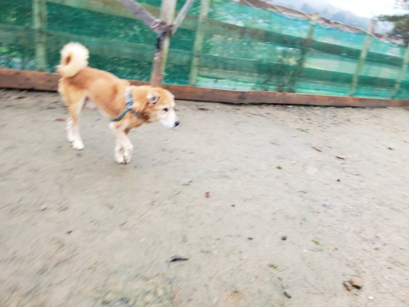 f:id:roukenhome-ann:20191223174049j:plain f:id:roukenhome-ann:20191223174049j:plain