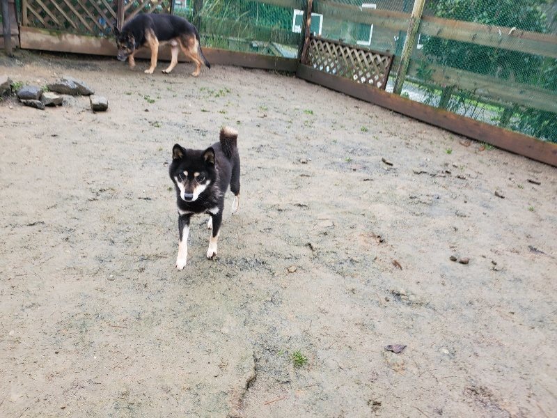 f:id:roukenhome-ann:20191223174125j:plain f:id:roukenhome-ann:20191223174125j:plain