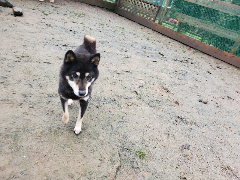 f:id:roukenhome-ann:20191223174137j:plain f:id:roukenhome-ann:20191223174137j:plain