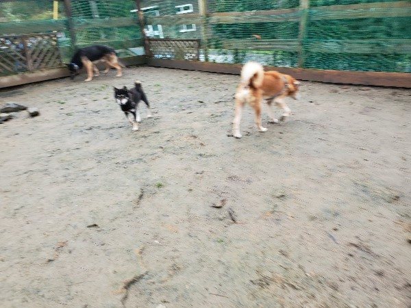 f:id:roukenhome-ann:20191223174144j:plain f:id:roukenhome-ann:20191223174144j:plain