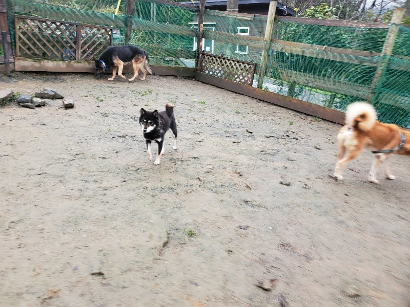 f:id:roukenhome-ann:20191223174158j:plain f:id:roukenhome-ann:20191223174158j:plain