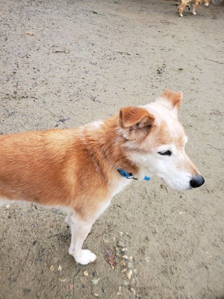 f:id:roukenhome-ann:20191223174215j:plain f:id:roukenhome-ann:20191223174215j:plain