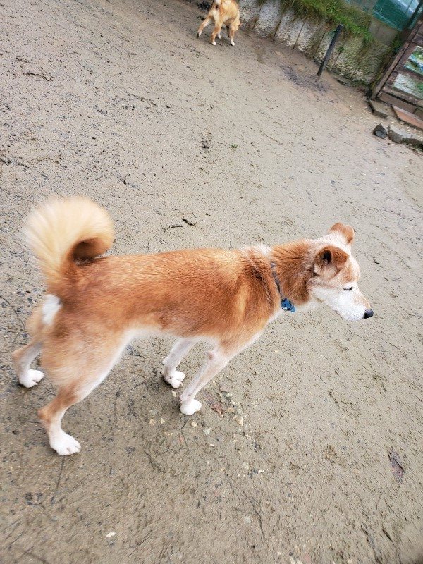 f:id:roukenhome-ann:20191223174223j:plain f:id:roukenhome-ann:20191223174223j:plain