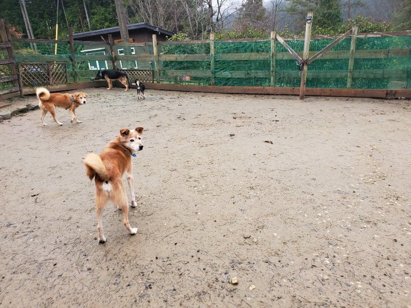 f:id:roukenhome-ann:20191223174246j:plain f:id:roukenhome-ann:20191223174246j:plain