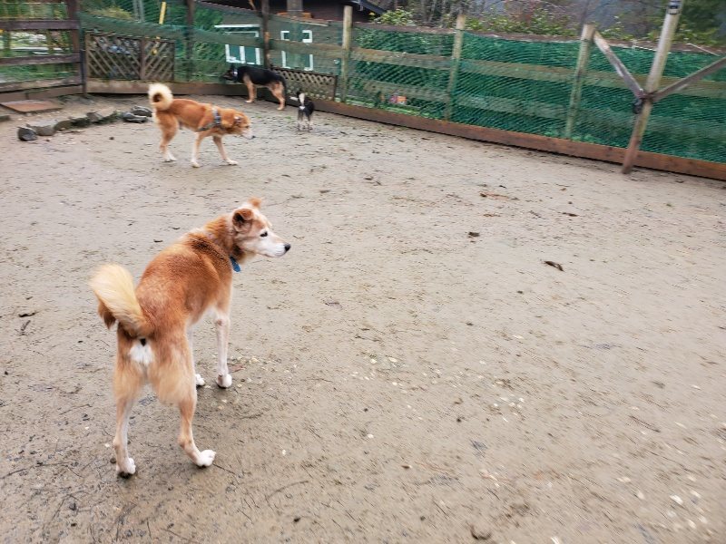 f:id:roukenhome-ann:20191223174253j:plain f:id:roukenhome-ann:20191223174253j:plain