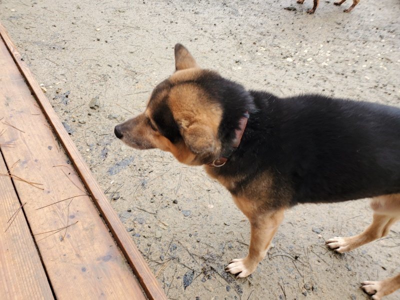 f:id:roukenhome-ann:20191223174302j:plain f:id:roukenhome-ann:20191223174302j:plain