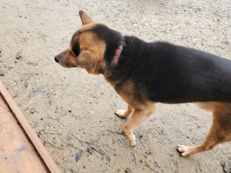 f:id:roukenhome-ann:20191223174328j:plain f:id:roukenhome-ann:20191223174328j:plain
