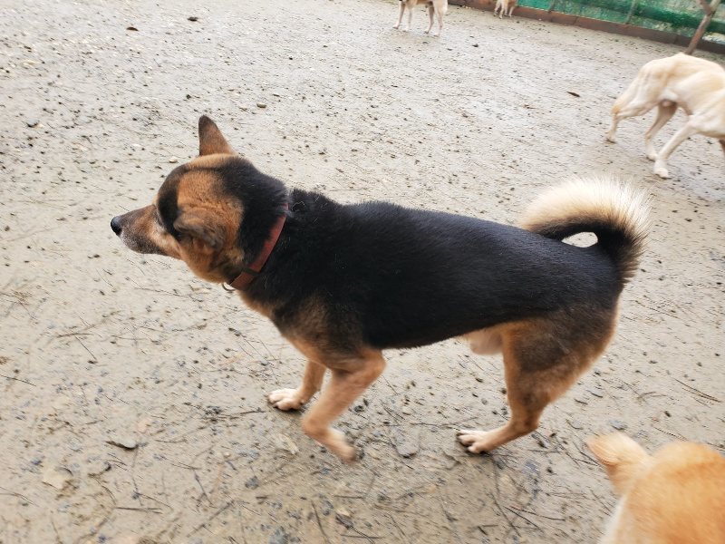 f:id:roukenhome-ann:20191223174334j:plain f:id:roukenhome-ann:20191223174334j:plain