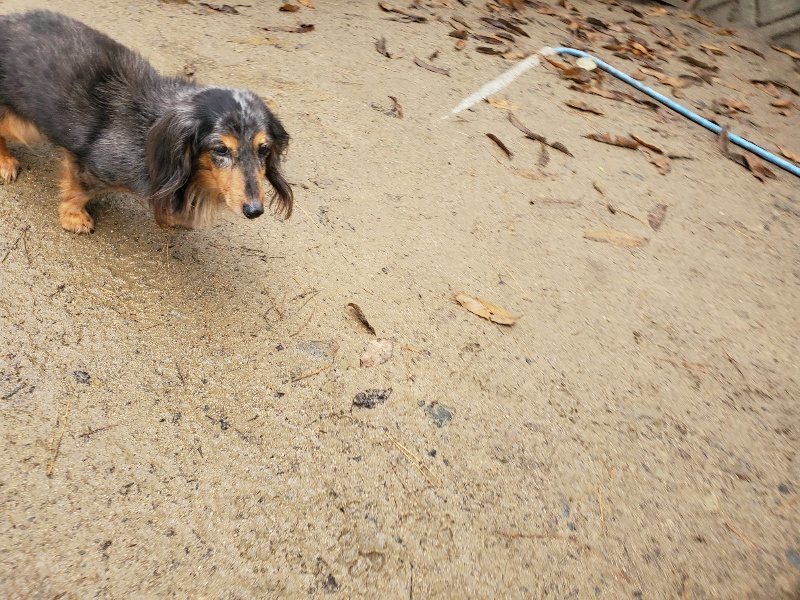 f:id:roukenhome-ann:20191223180901j:plain f:id:roukenhome-ann:20191223180901j:plain