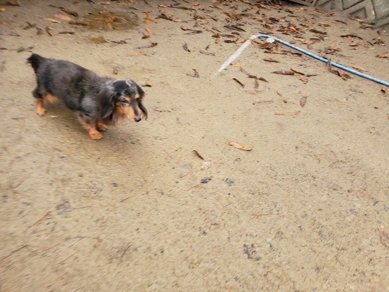 f:id:roukenhome-ann:20191223180907j:plain f:id:roukenhome-ann:20191223180907j:plain