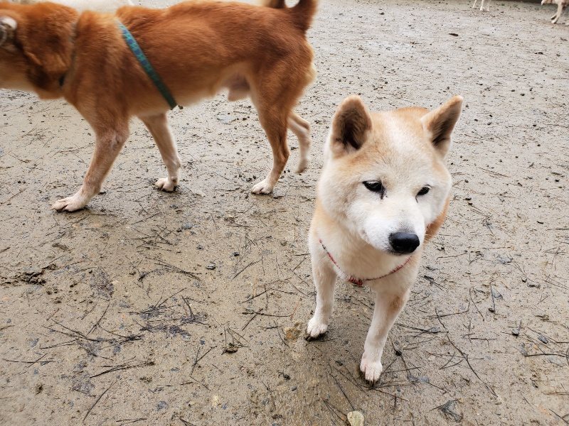 f:id:roukenhome-ann:20191223180928j:plain f:id:roukenhome-ann:20191223180928j:plain