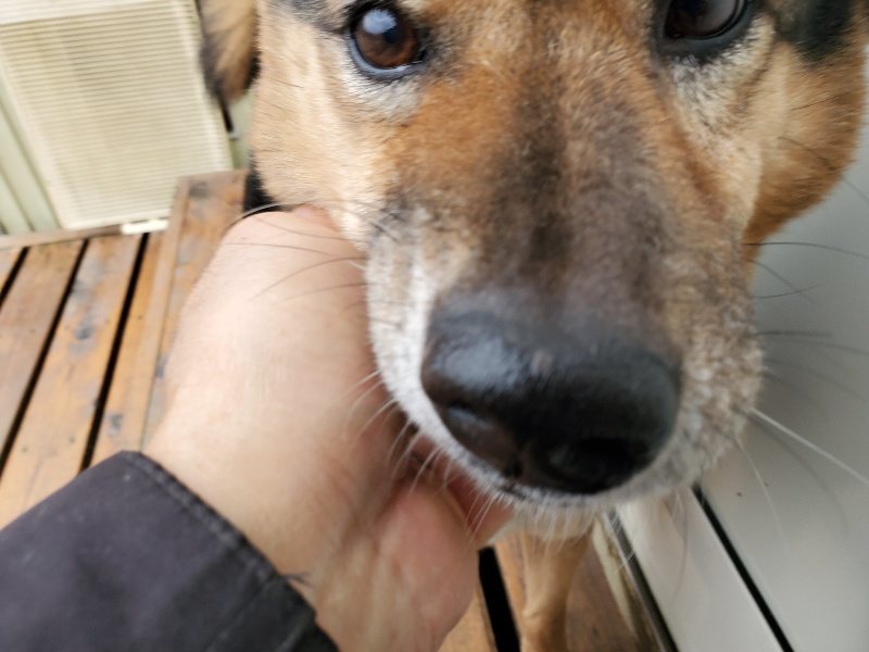 f:id:roukenhome-ann:20191223180933j:plain f:id:roukenhome-ann:20191223180933j:plain