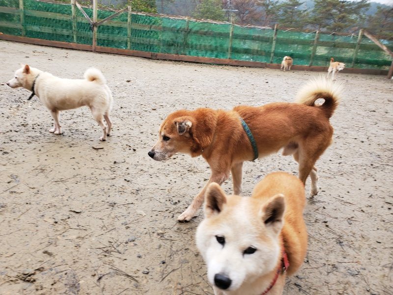 f:id:roukenhome-ann:20191223180939j:plain f:id:roukenhome-ann:20191223180939j:plain