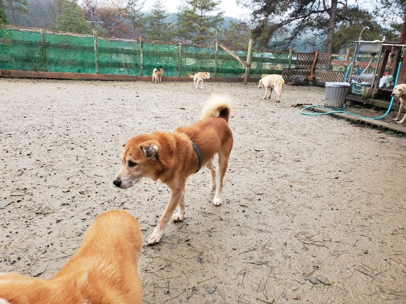 f:id:roukenhome-ann:20191223180951j:plain f:id:roukenhome-ann:20191223180951j:plain