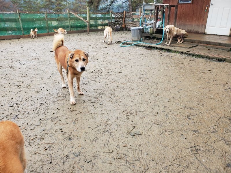 f:id:roukenhome-ann:20191223180959j:plain f:id:roukenhome-ann:20191223180959j:plain