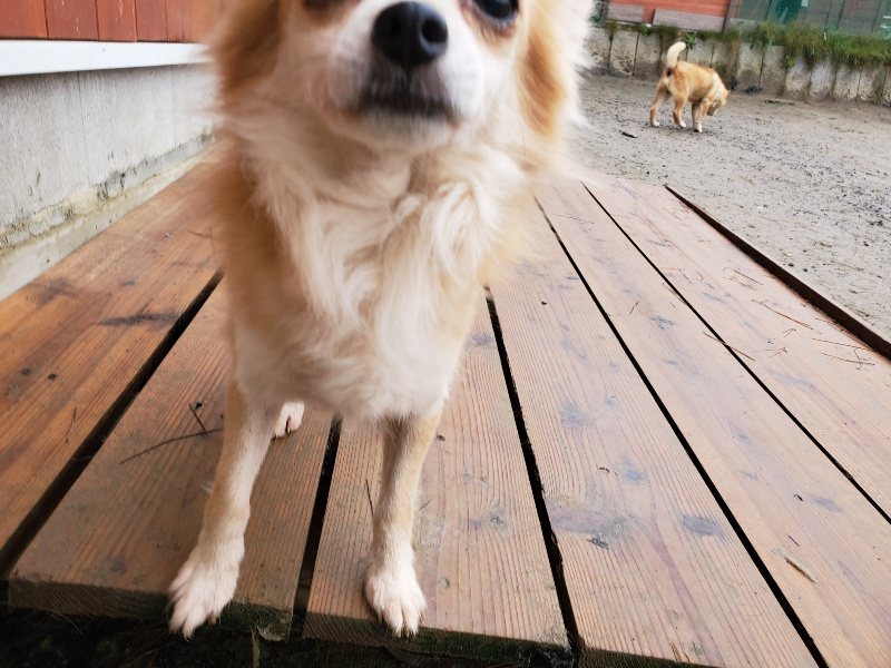 f:id:roukenhome-ann:20191223181003j:plain f:id:roukenhome-ann:20191223181003j:plain