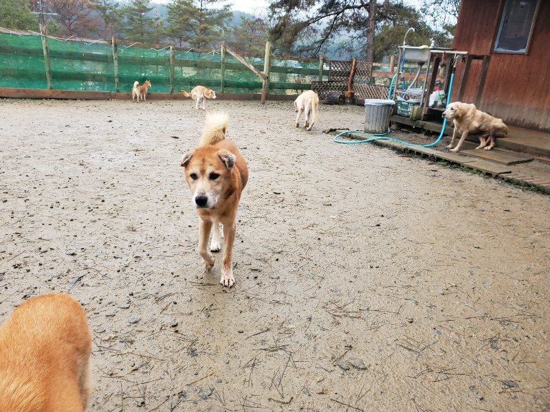 f:id:roukenhome-ann:20191223181011j:plain f:id:roukenhome-ann:20191223181011j:plain