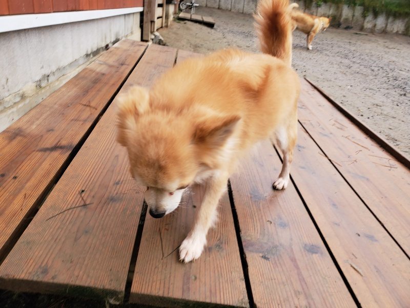 f:id:roukenhome-ann:20191223181019j:plain f:id:roukenhome-ann:20191223181019j:plain
